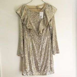 H&M Flounce Trim Sequin Dress